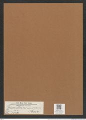 Triceratium cariosum Castr. (de-Toni-Nr.: Genus 140, Species 3821) Zeichnungen Sammlung Grunow Mappe 03890 (Herbarium_W_Grunow_drawings_Folder_03890)